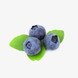 Ripe Blueberry (Demo)