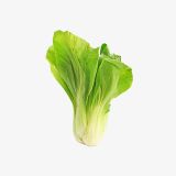 Petiolate Celery (Demo)