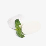 Premium Mozzarella (Demo)