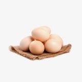 Chicken Eggs (Demo)