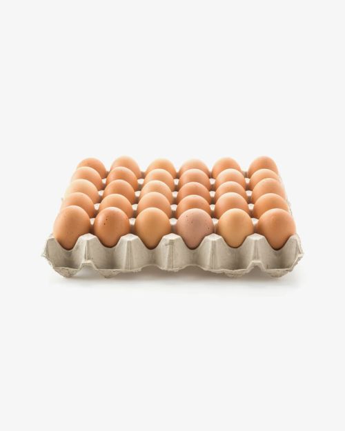 Chicken Eggs (Demo)