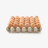 Chicken Eggs (Demo)